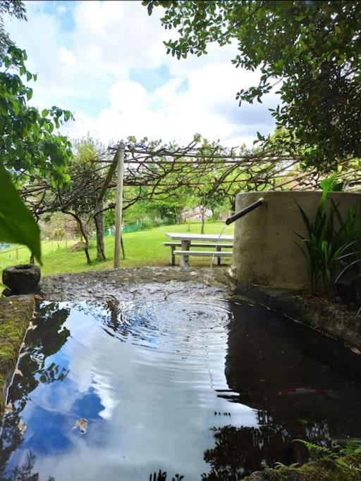 A Vina De Lina. Turismo Rural Con Piscina Y Finca. Villa Pontevedra Exterior photo