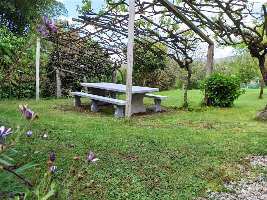 A Vina De Lina. Turismo Rural Con Piscina Y Finca. Villa Pontevedra Exterior photo